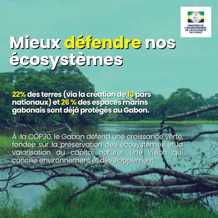 Gabon : un modèle de préservation au cœur du Bassin du Congo 1762864676361