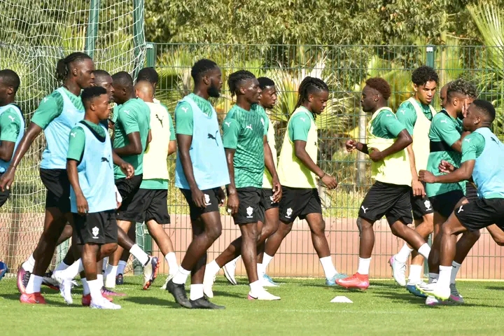 Football : Nouvelle désillusion des Panthères face au Nigeria 1763157853304