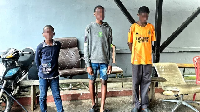 20251128124454 1256245852 2766126089615160724 640 359 85 webp