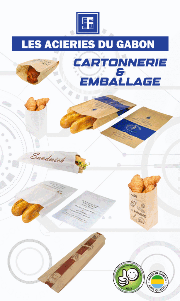 Accident sur l’axe Bifoun–Ndjolé : une délégation de Radio Gabon impliquée, aucune victime à déplorer. insertion web cartonnerie 3002