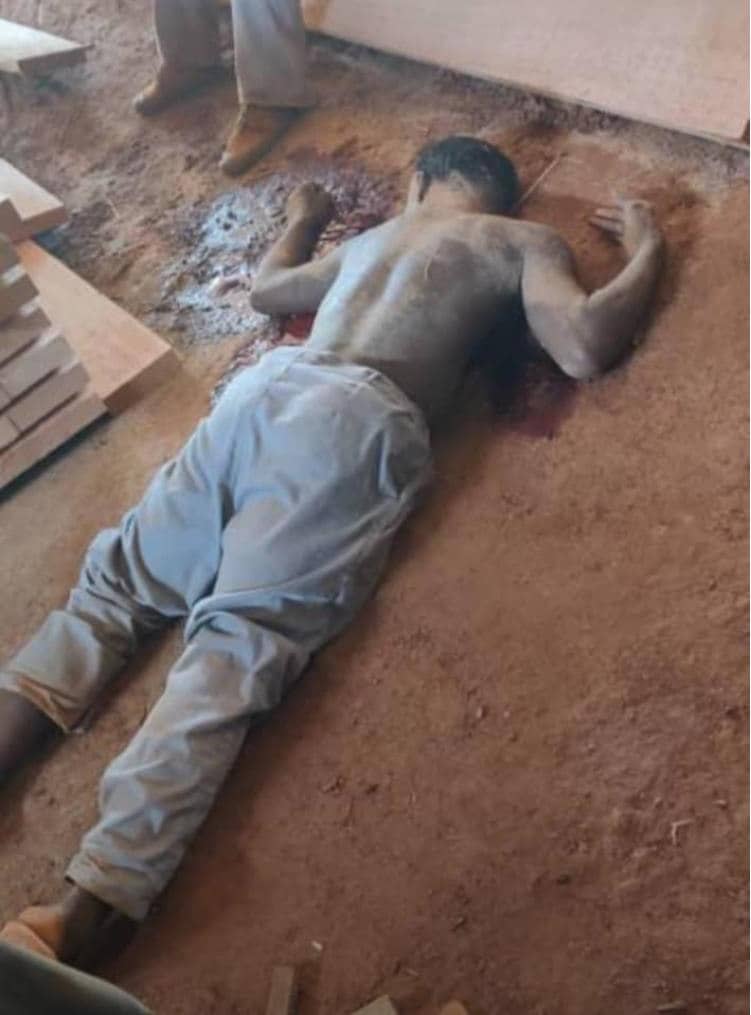 whatsapp image 2026 01 12 at 23.14.42