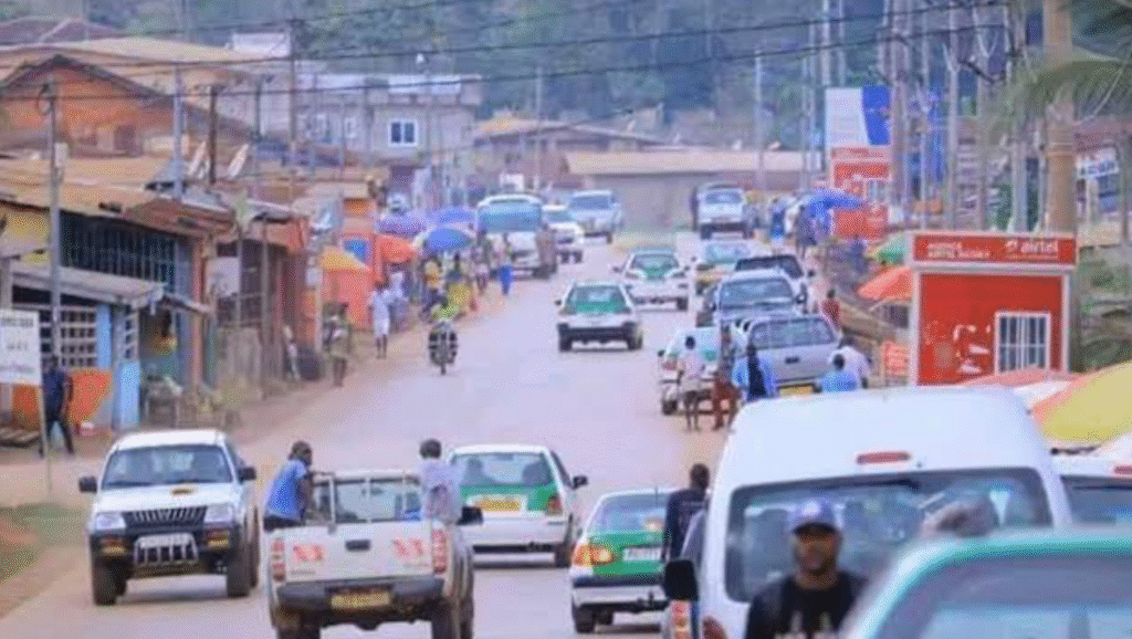 Ville de la Nyanga chifre.info