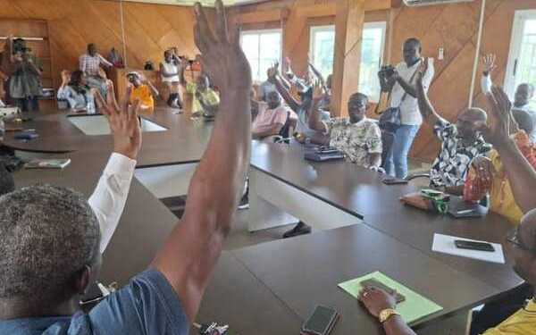 gabonmailinfos uob greve